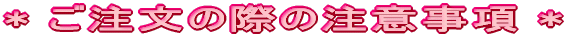 * ̍ۂ̒ӎ * 